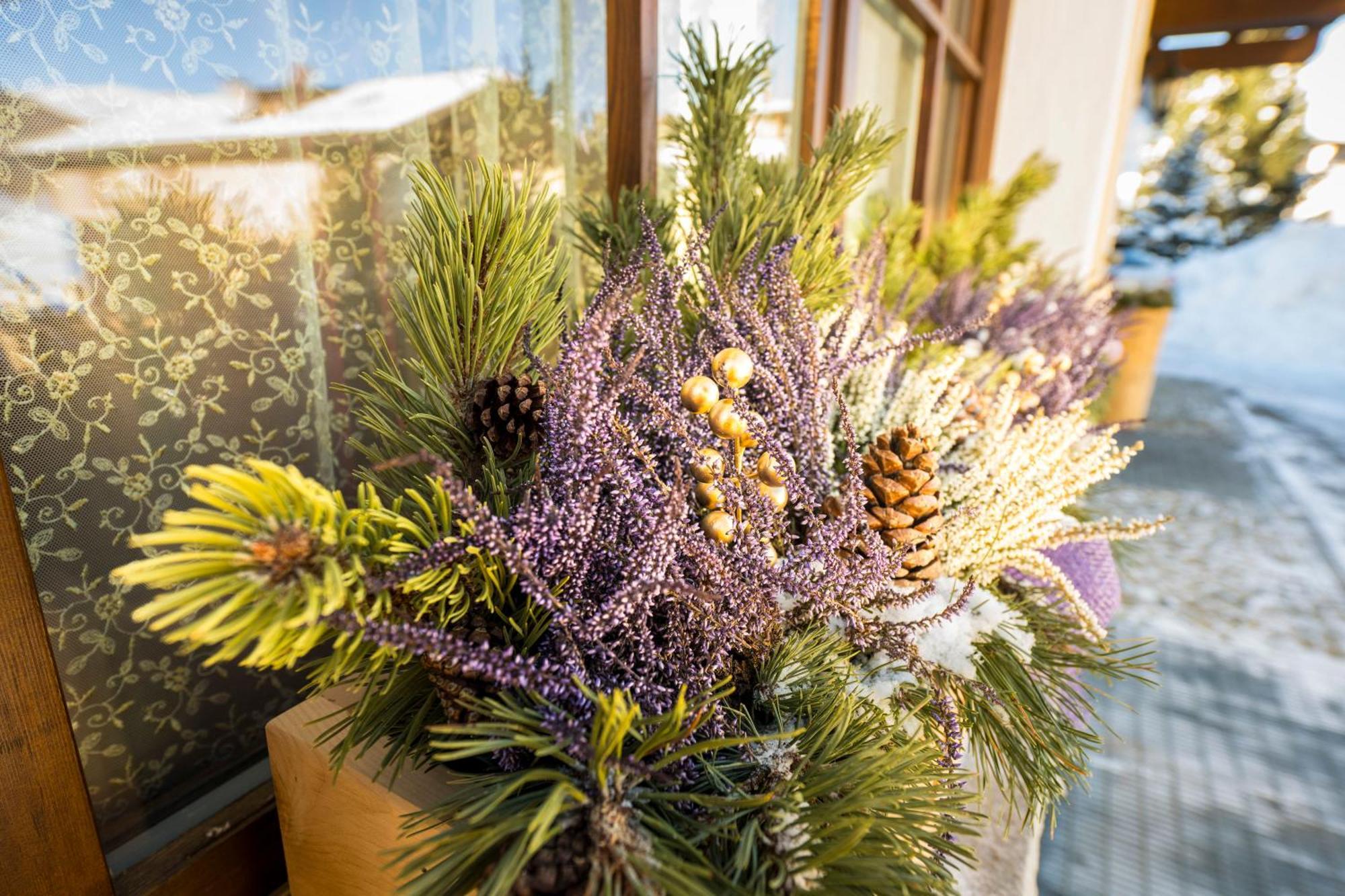 Chalet Rosita Livigno Exteriér fotografie